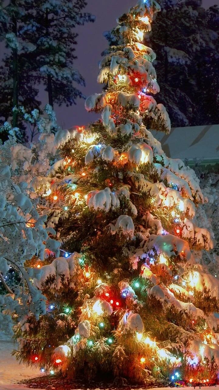 Новогодняя елочка. Заготовка "елочка большая" №1. Новогодняя елочка. Елка 4 6. Елка из подарков вектор.