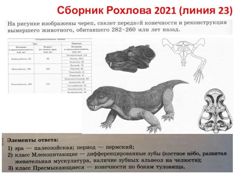 Рохлов биология 2023 ответы. Задания из Рохлова. ЕГЭ Рохлов рисунки. Сборник Рохлова. Сборник ЕГЭ Рохлов.