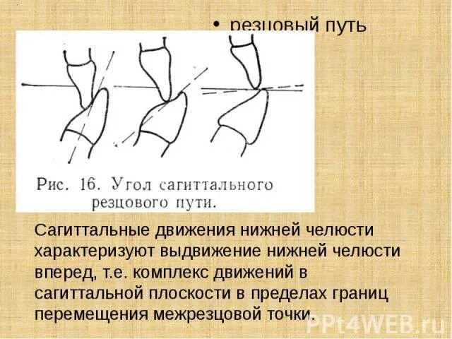 Угол сагиттального резцового пути. Сагиттальный суставной и резцовый пути. угол сагиттального суставного пути. сагиттальный резцовый путь. угол сагиттального суставного и резцового пути.