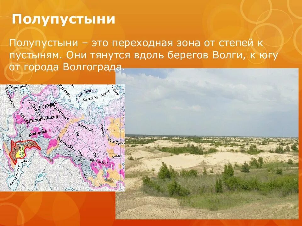 Положение полупустыни