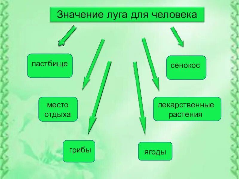 Окр мир общество. Значение Луга для человека. Значение сообщества для человека луг. Жизнь Луга. Значение сообщества Луга для человека.