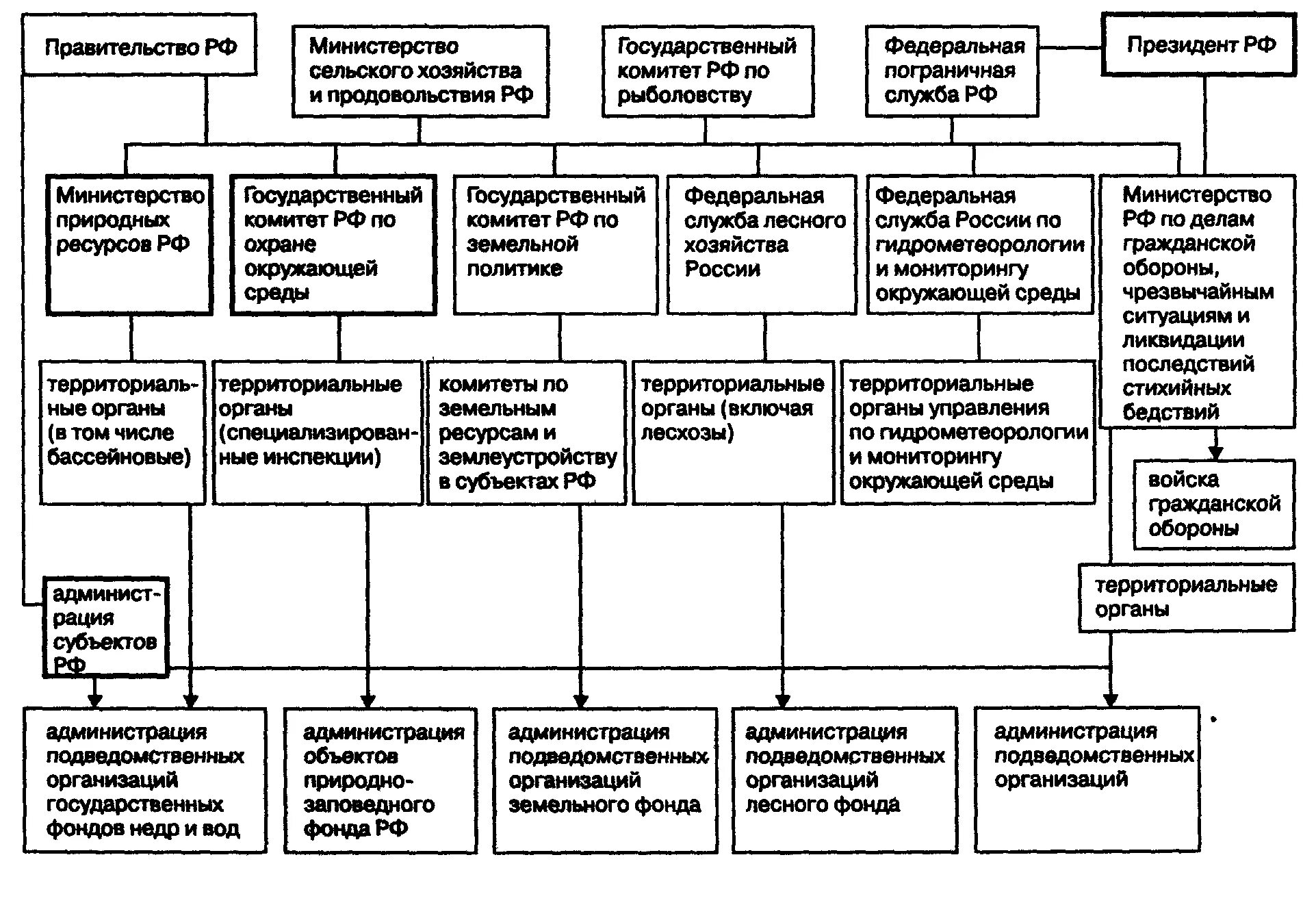 Государственное управление в области экономического развития. Система органов гос экологического управления РФ. Система органов экологического управления схема. Схема экологического управления в РФ. Структура и компетенция органов экологического управления РФ.