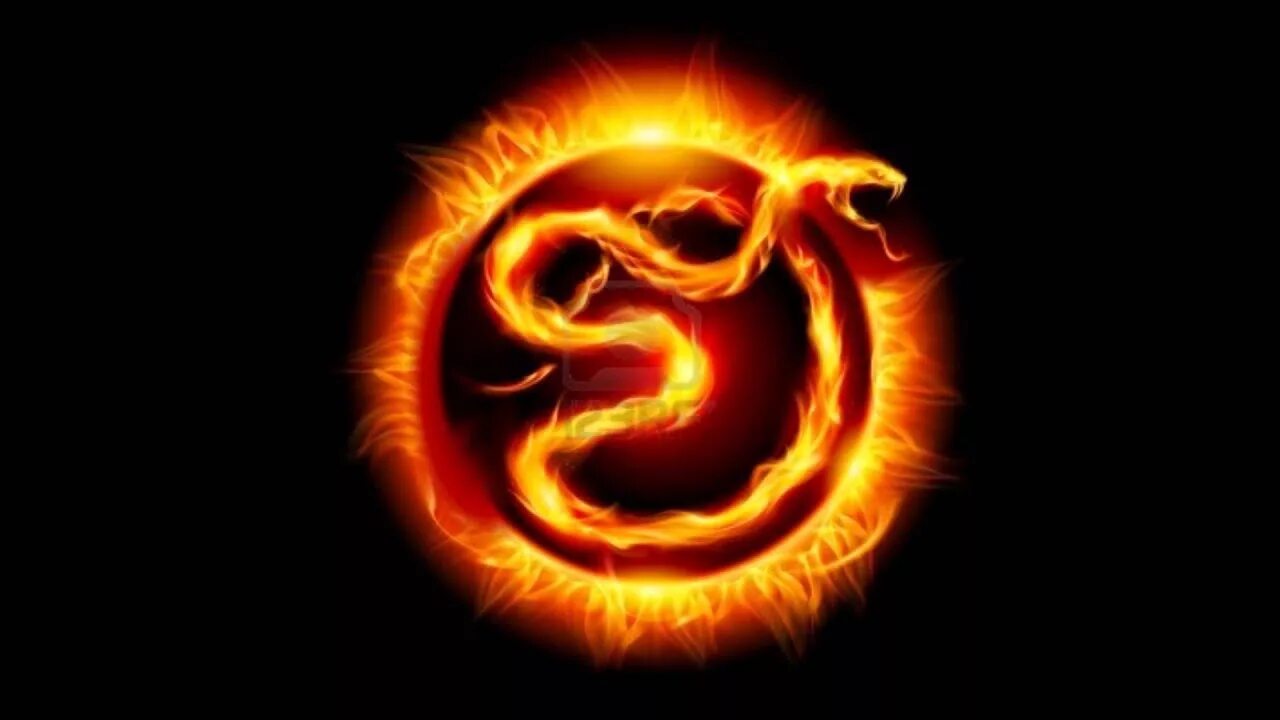 Совместимость огненной змеи. Огненный змей. Огненные змеи. Огненные символы. Огненная змея год.