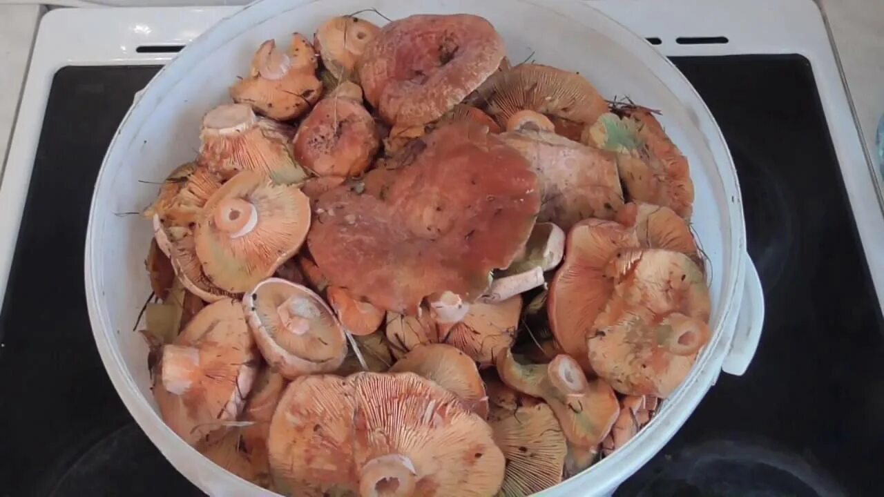 Рыжики соленые. Приготовить рыжики. Рыжики грибы приготовление. Маленькие рыжики вареные. Вареные рыжики