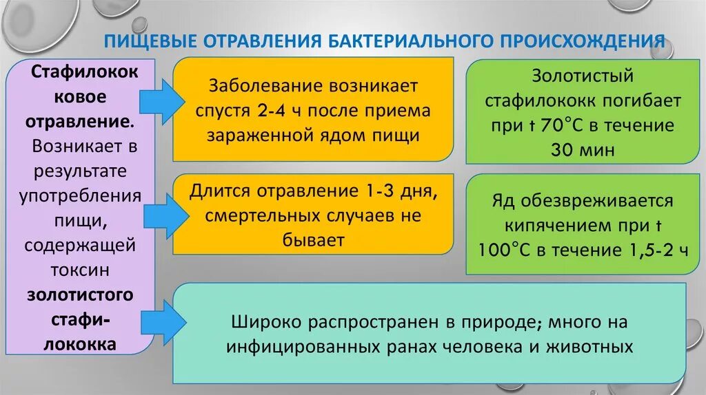 Группа пищевых заболеваний. Бактериальные пищевые отравления. Отравление бактериального происхождения. Микробные пищевые отравления. Отравления небактериального происхождения.