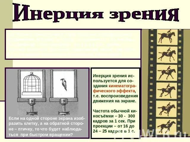 Инерция зрения. Инертность человеческого зрения. инерция зрительного восприятия. инерция человеческого зрения что такое.
