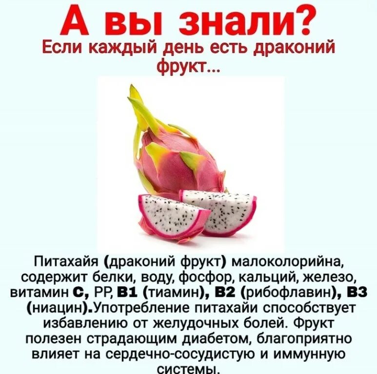 Драгон фрукт дерево фото - Тоши Суши