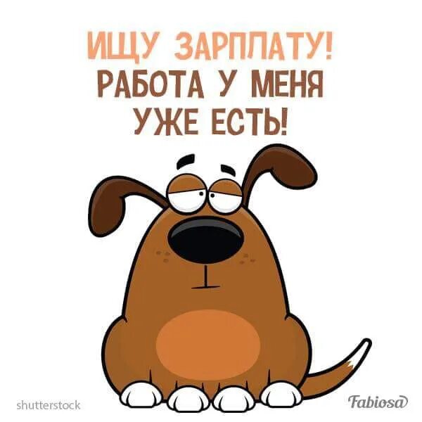 Работа есть зарплаты нет. Ищу зарплату. ищу зарплату работа у меня уже есть. ищу работу ищу зарплату. картинка ищу зарплату.