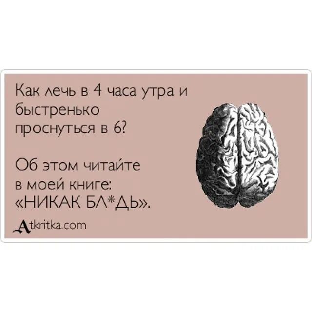 Шутки про мужской мозг. Анекдоты про мозг. Высказывания про мозги. Сангвиник мозги управляют чувствами. Мозг прикол.