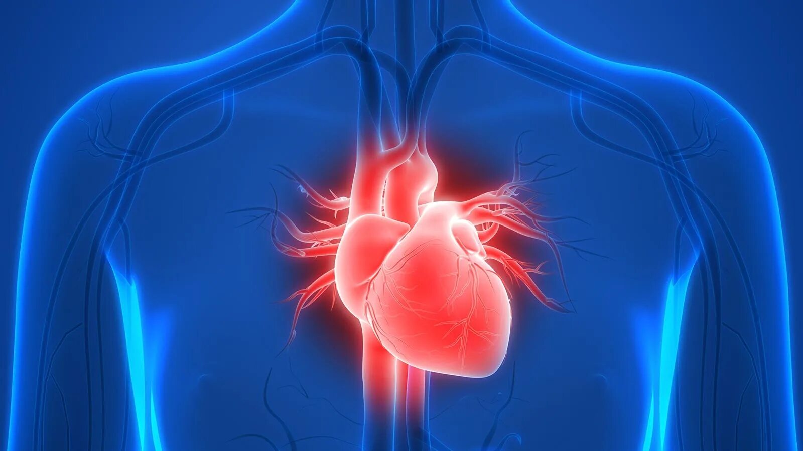 Христос в царстве небесном. Завет сердца. Cardiovascular. Иисус христос. Сердце в руках.