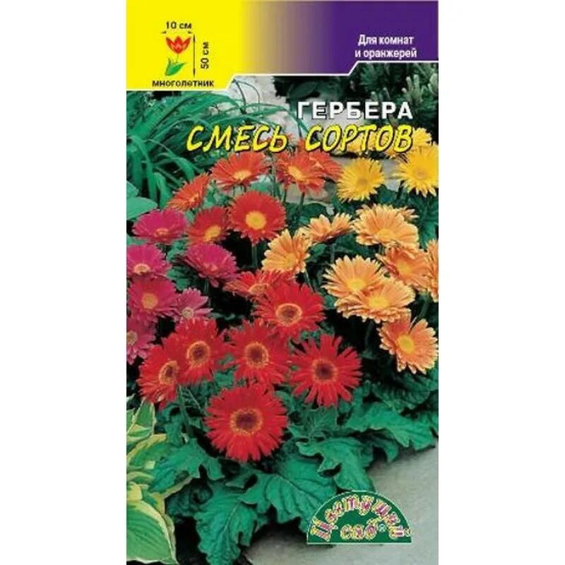 Купить гербер садовую. Гербера Джемсона смесь сортов. Гербера Садовая семена. Гербера многолетняя. Гербера многолетник.