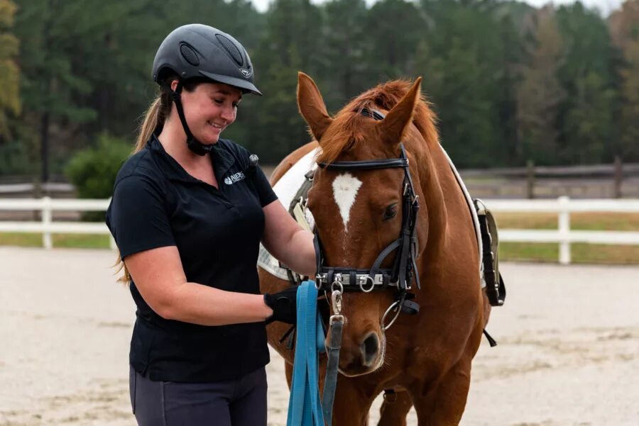 владимирский тяжеловоз в упряжи. кавалетти конный спорт. шлея пессоа для лошади. лошадь гоняют на корде. кавалетти выездка.
