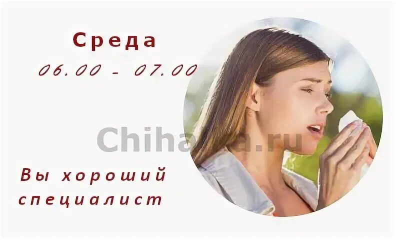 Чихалка среду по времени правдивая. Чихнуть в среду. чихалка среда по времени. чихнуть в среду по времени. к чему чихнуть в среду по времени.