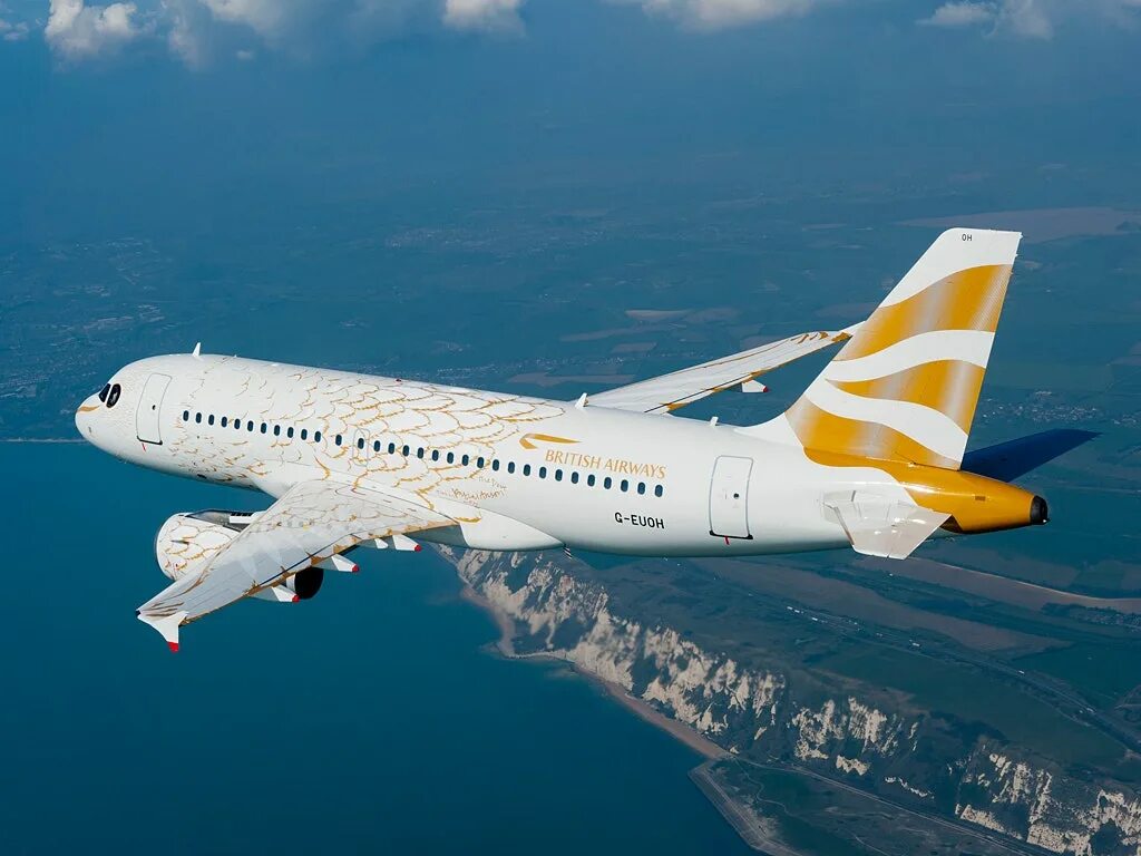 боинг 737 100. джамбо джет самолет. ту-154б-2. боинг 747. Gulfstream g650 абрамовича.