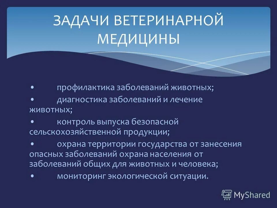 Цель ветеринара. Цели и задачи ветеринарии. Основные цели и задачи ветеринарии. Задачи ветеринарного врача. Цель и задачи ветеринара.