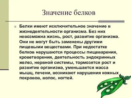 Белки значение для клетки