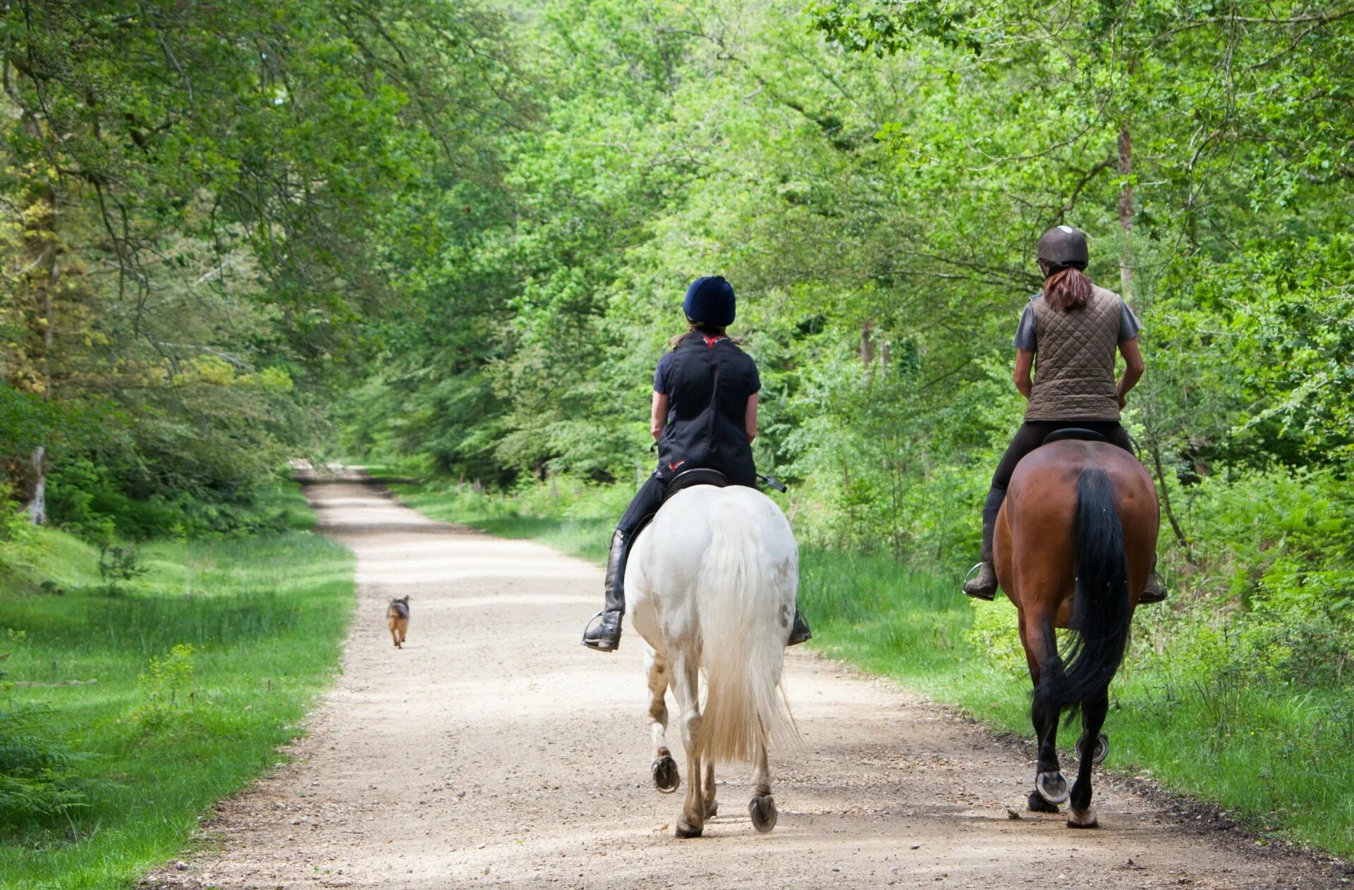 Ride and walk