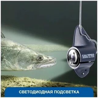 Подводная калипсо