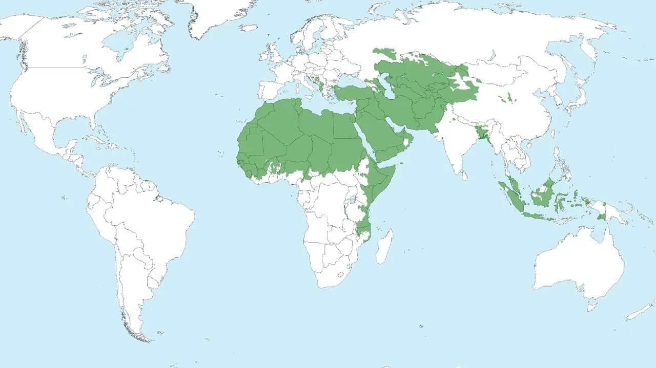 Major areas. Карта Ислама в мире.