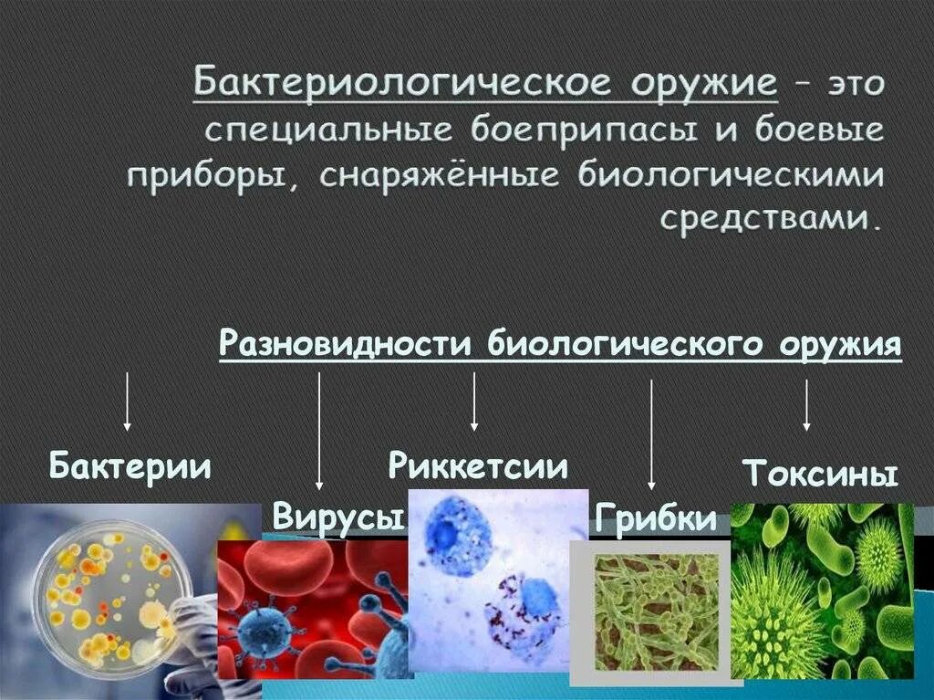 Бактериологическое оружие. Бактериологическое ору. Виды биологического оружия. Бактериологическое (биологическое) оружие.