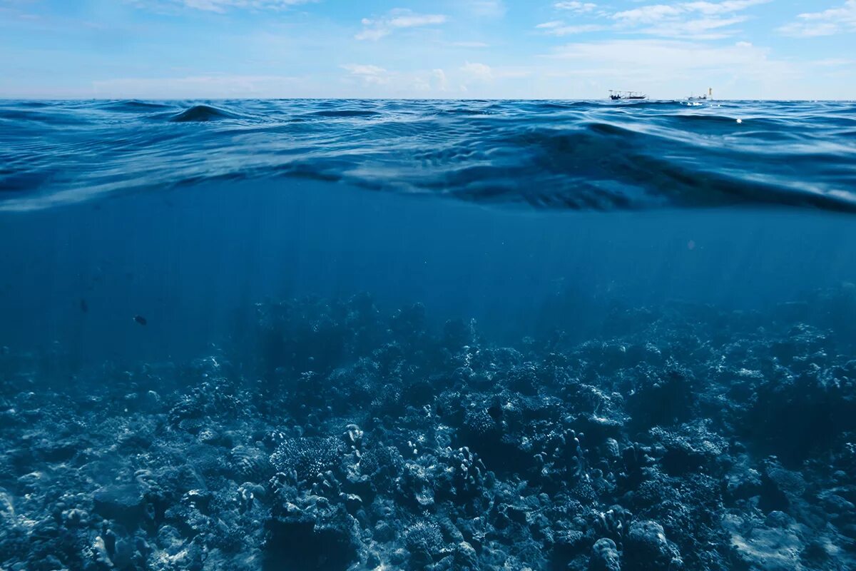 Толща воды океана. Карибское море Атлантический океан. Дно океана. Поверхность океана. Океаны. Глубина.