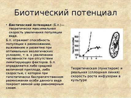При увеличении численности популяции