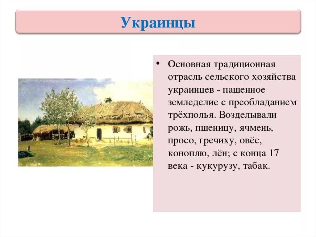 Основное занятие украинцев. Украинцы история 7 класс. Украинцы 17 века презентация. Основное занятие украинцев в 17 веке. Значение слова украинец в 13 веке