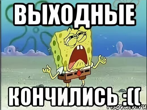 Выходные закончились. Вот и закончились выходные. Статусы про выходные. Конец выходных. Мемы про выходные.