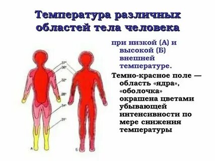 В разных районах температура разная