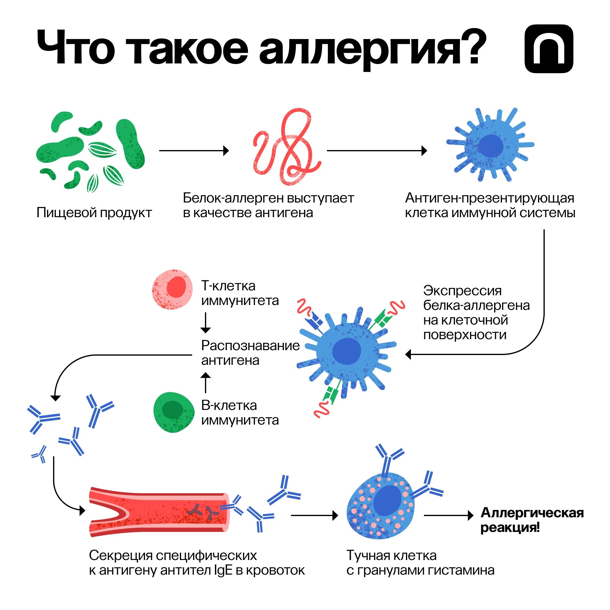 Как вызвать аллергию