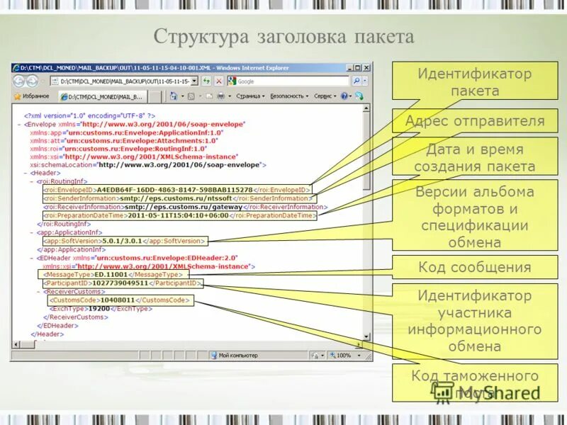 Код таможенного органа. Код таможенного органа как узнать. Штраф код таможенного органа. Цат код таможенного органа. Код таможенного органа, зарегистрировавшего документ.