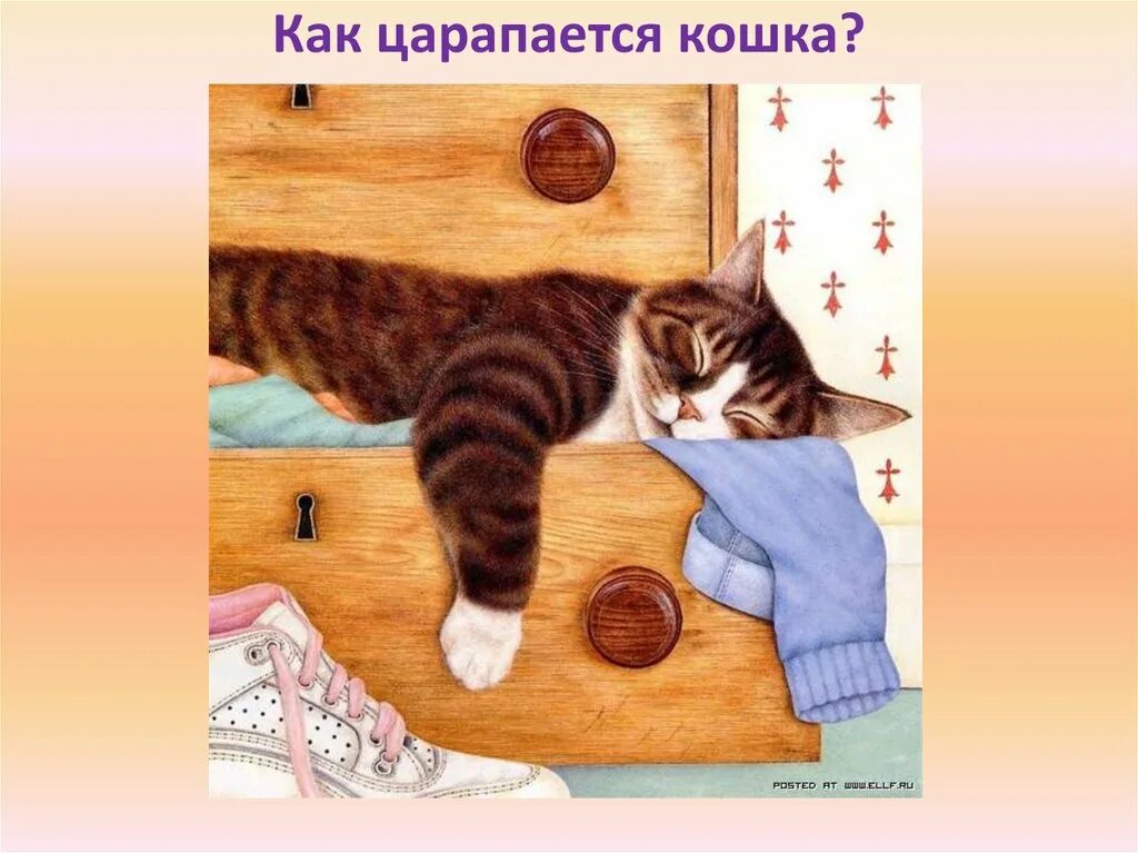 Развлечение день кошек. Кошка иллюстрация. Всемирный день кошек презентация для детей.