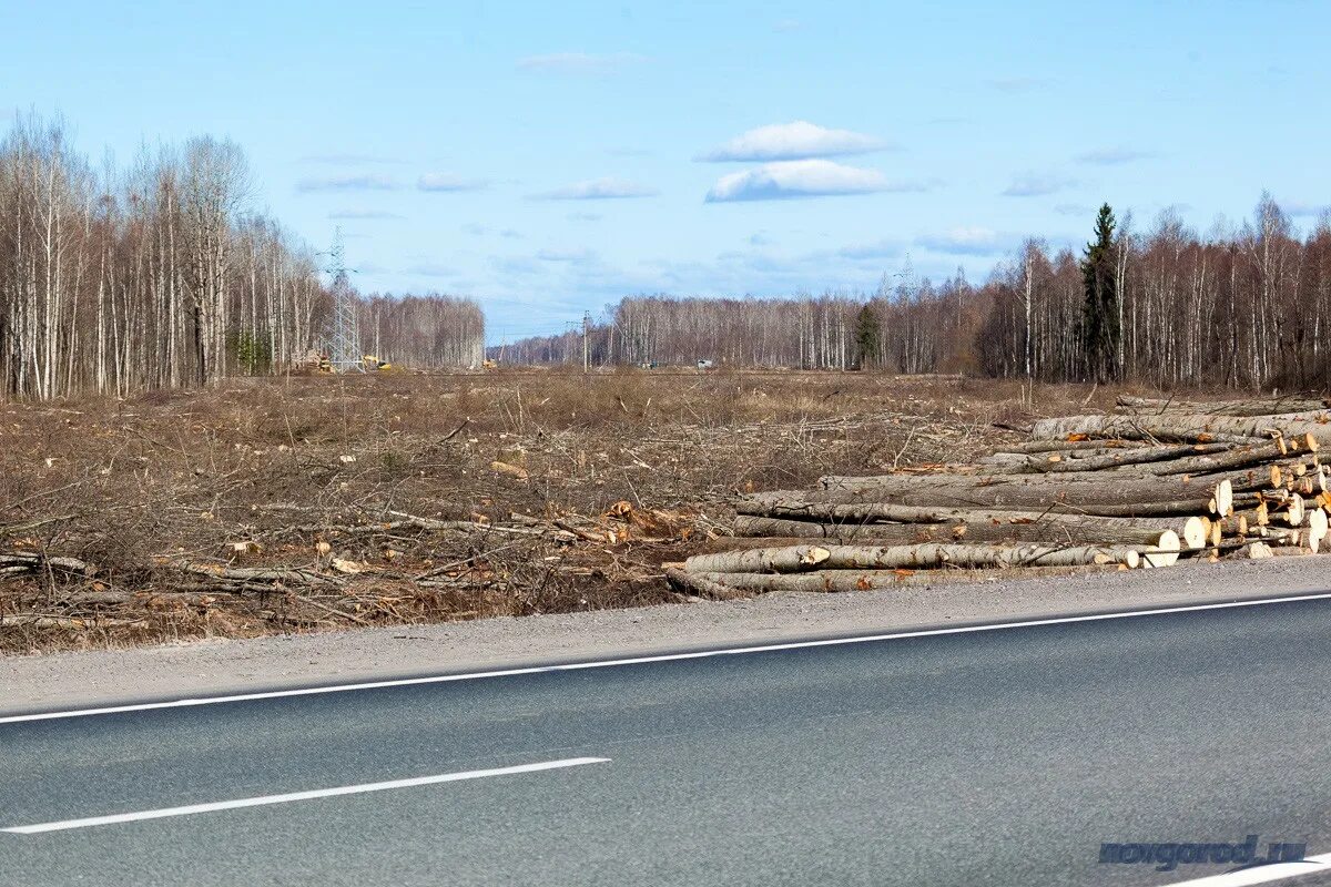 М11 новгородская область. Платная дорога Великий Новгород Санкт-Петербург м11 мясной Бор. Мясной Бор трасса м11. Лесное Новгородская область дорога. 1200 Гектар.