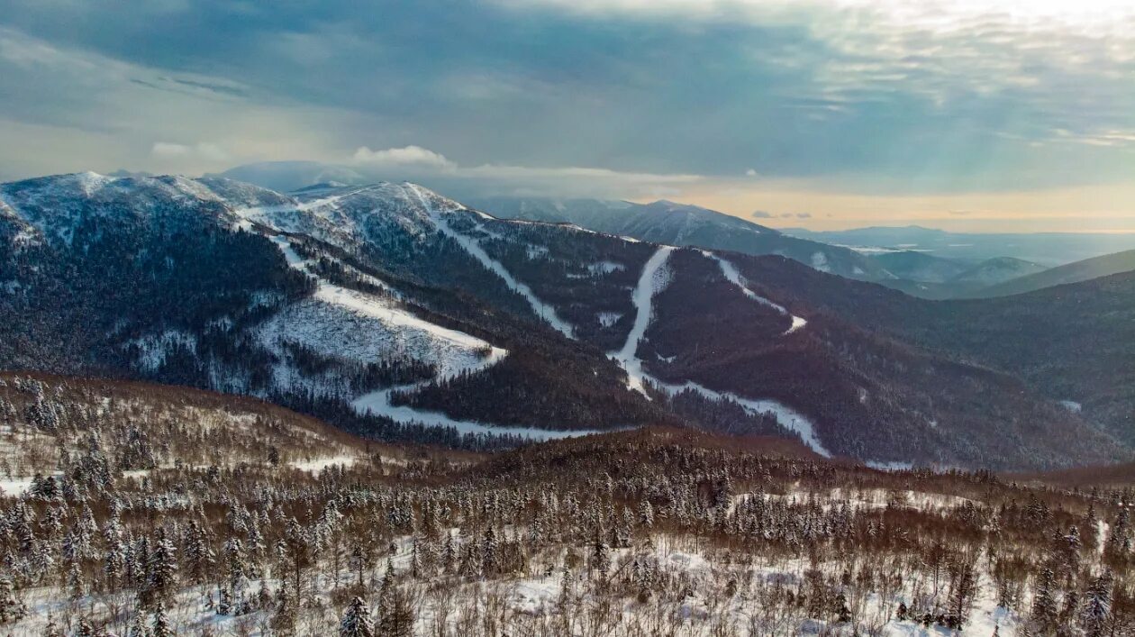 Абилимпикс 2023 эмблема. Общегородской выпускной. Южно-сахалинск 2022. Абилимпикс 2023. 2023 южно сахалинск.