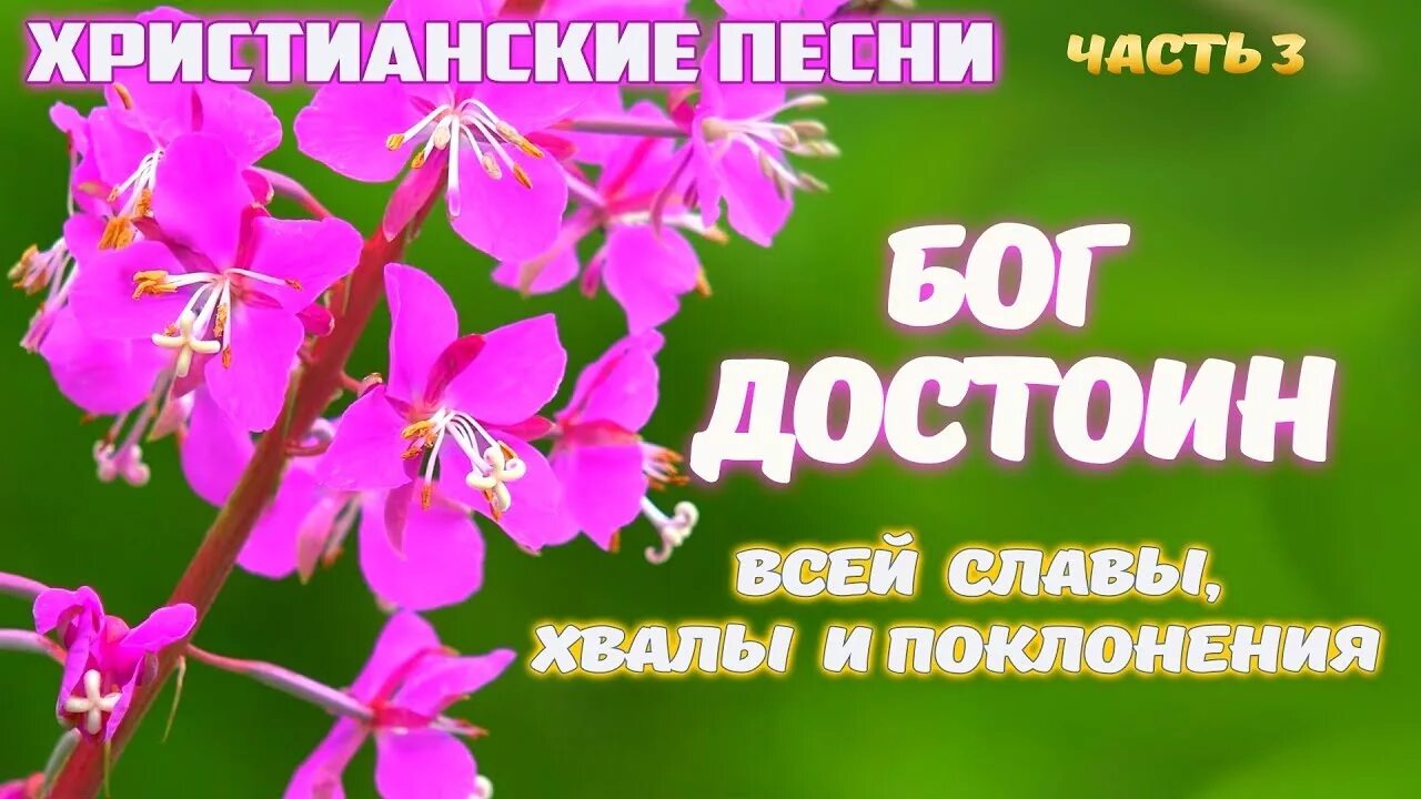 Библейские исповедание христиан. Песни про бога видео. Христианские песни караоке со словами. Сильный ищет бога. Христианские караоке.