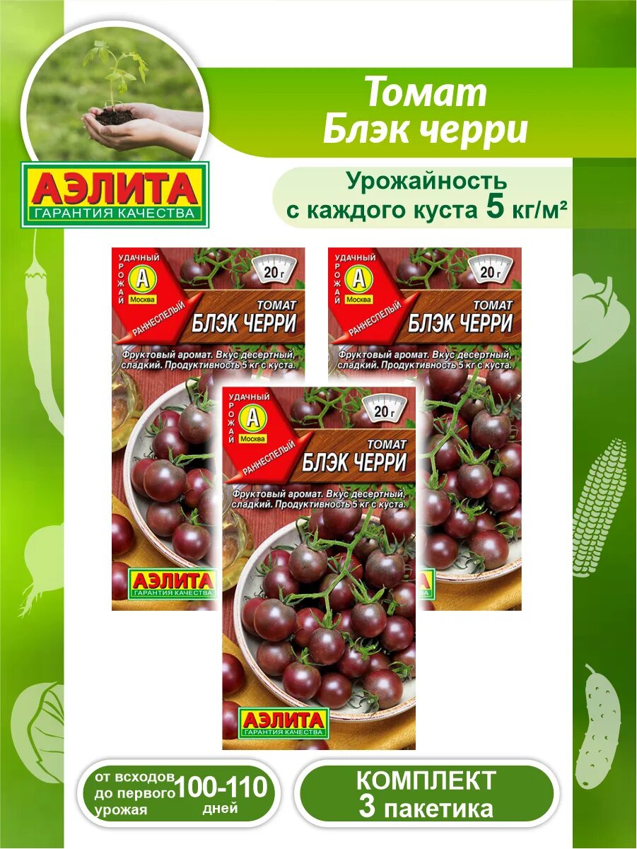 томат блэк черри отзывы. ампельный томат садовая жемчужина. томат блэк черри f1. томат блэк черри отзывы. томат пышка f1.