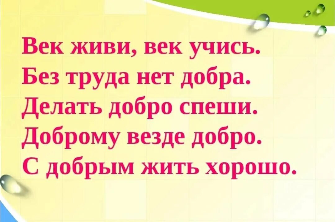 Пословица не учись разрушать а учись строить. Век живи век учись. Век живи век учись продолжение. Век живи век учись продолжение пословицы. Афоризм век живи век учись.