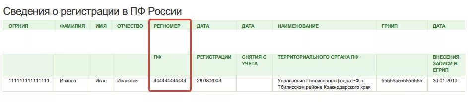 Пенсионный фонд россии инн