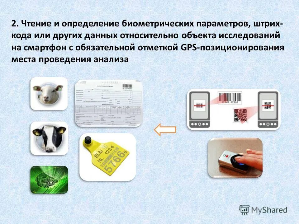 Примеры биометрических данных. Биометрические персональные данные. Компьютерное зрение распознавание лиц. Обработка биометрических данных. Биометрическая идентификация личности.