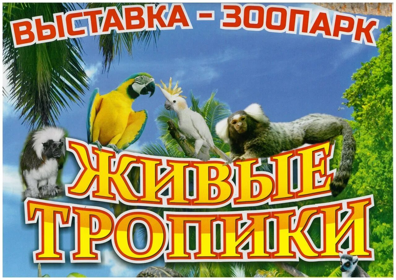 Живые тропики выставка-зоопарк. Каскад живые тропики. Живые тропики каскад чебоксары. Живые тропики выставка-зоопарк. Каскад живые тропики.