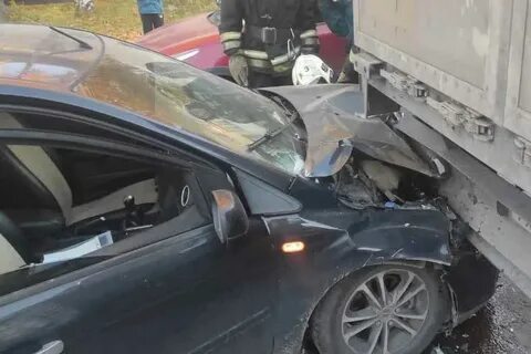 Новости 08.08 24