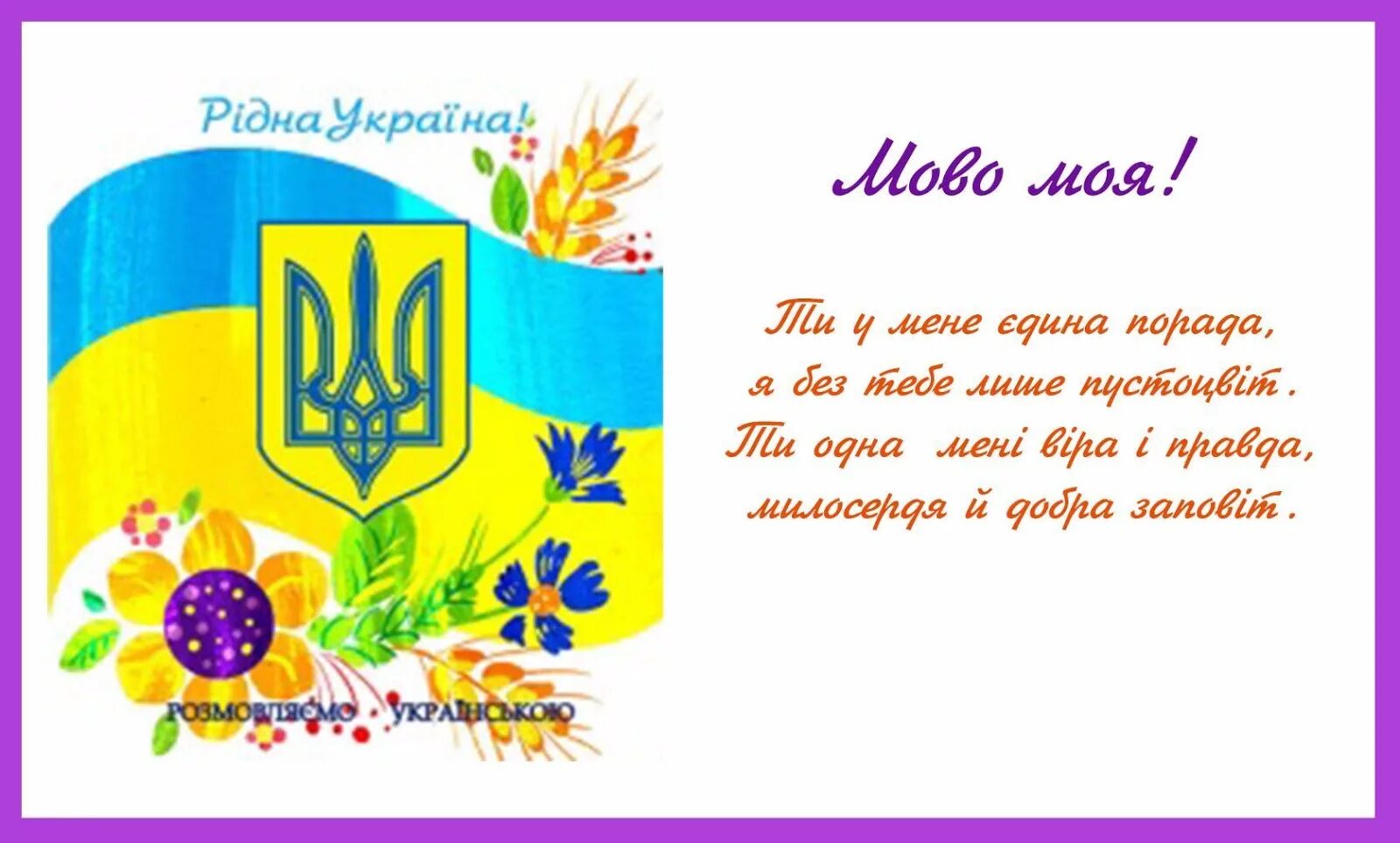 День рідної мови. Плакат на день украинской мови. До дня мови. Рідна мова