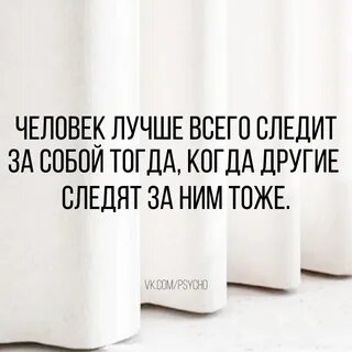 Эффект парадокса 2023