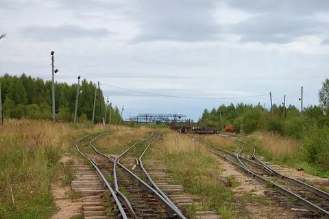 Погода лойга