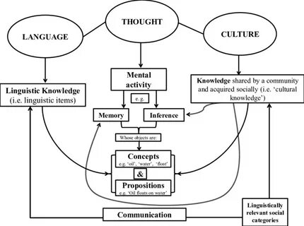 Language attitudes
