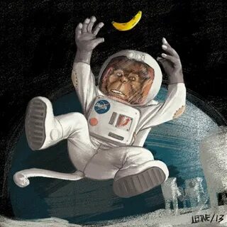 Обезьяна маркус в космосе
