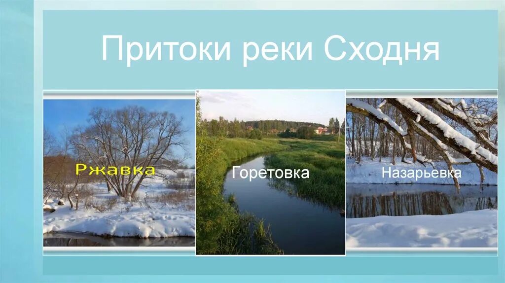 Где находится река сходня. Притоки реки сходня. сообщение о реке сходня. какое течение у реки сходня. какие растения и животные реки сходня.