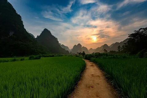 Morning vietnam
