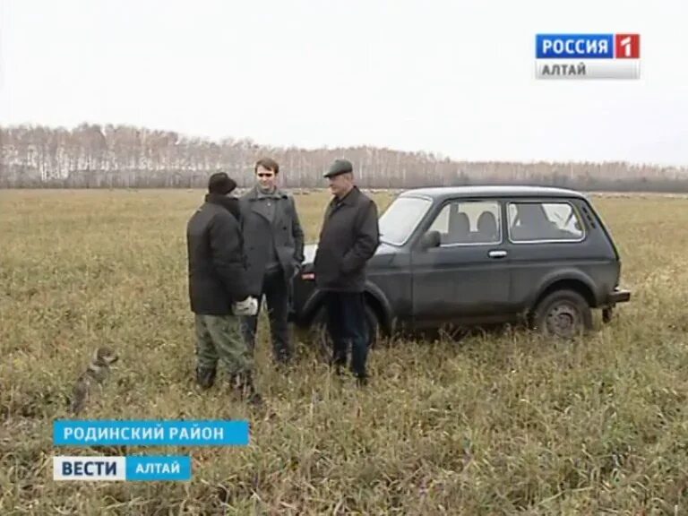 Погода кочки алтайского края. Красный Алтай Родинского района. Степное Родинский район Алтайский край. Село Кочки Алтайский край. Полетаево Алтайский край.