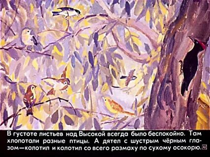 Сказка к г паустовский дремучий медведь